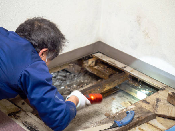 Best Crawl Space Mold Removal  in Fort Myers Shores, FL